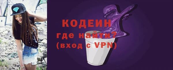 индика Абаза