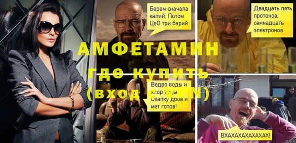 мет Алексин
