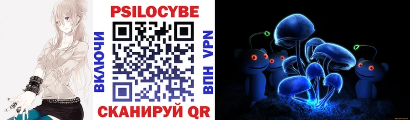 где купить наркотик  Вытегра  KRAKEN сайт  Псилоцибиновые грибы мицелий 
